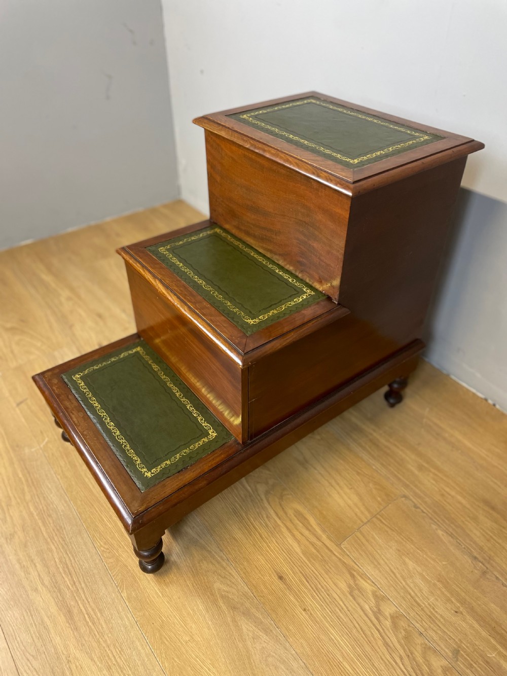 Nineteenth century mahogany library steps  View V