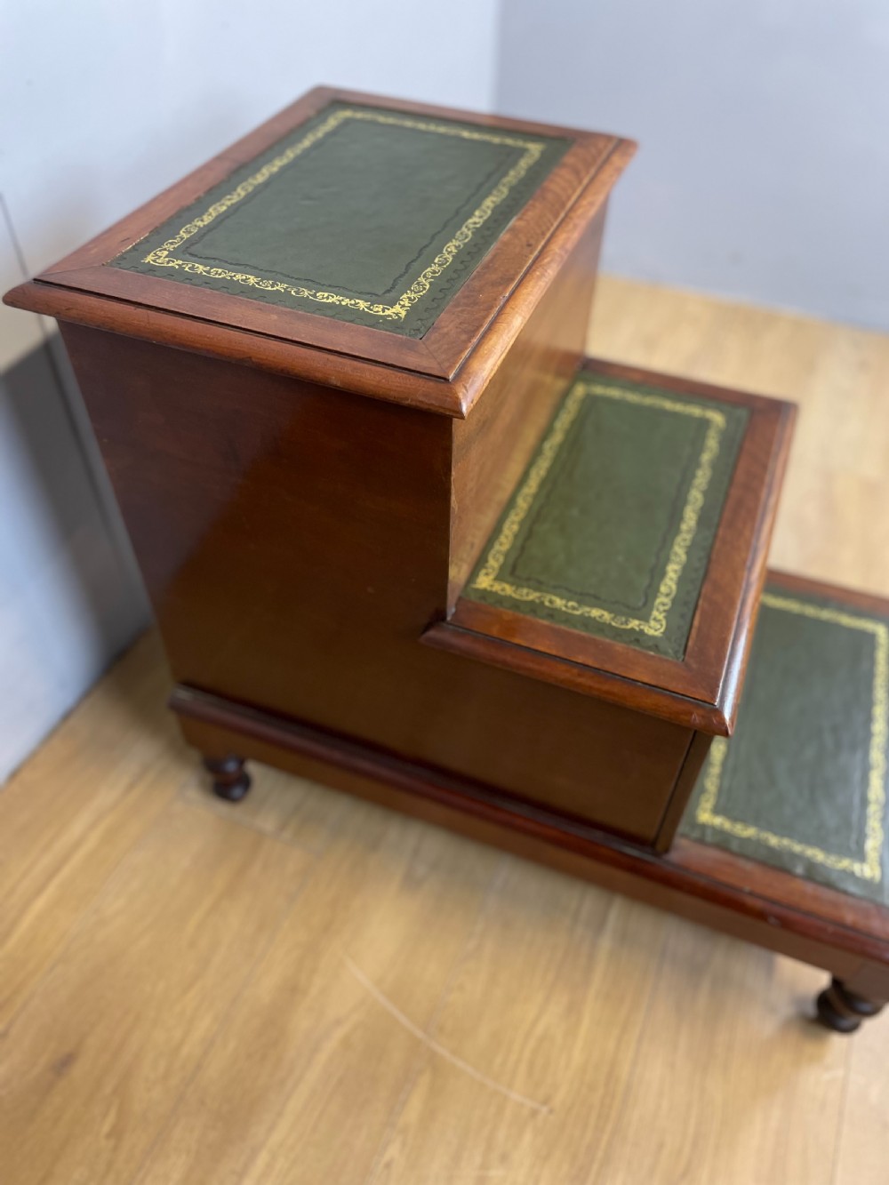 Nineteenth century mahogany library steps  View X