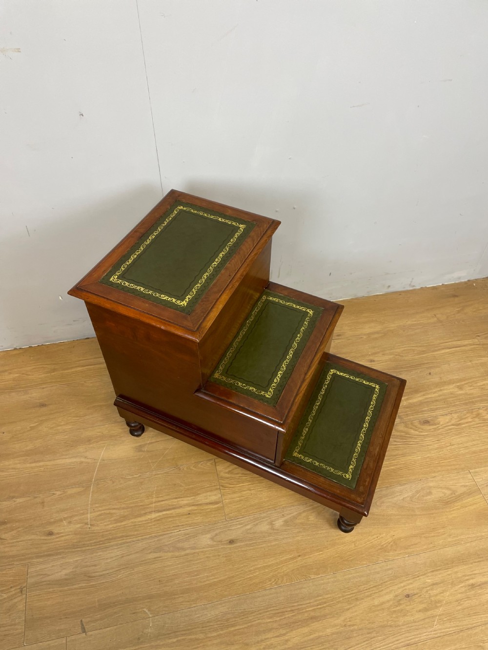 Nineteenth century mahogany library steps  View XIII