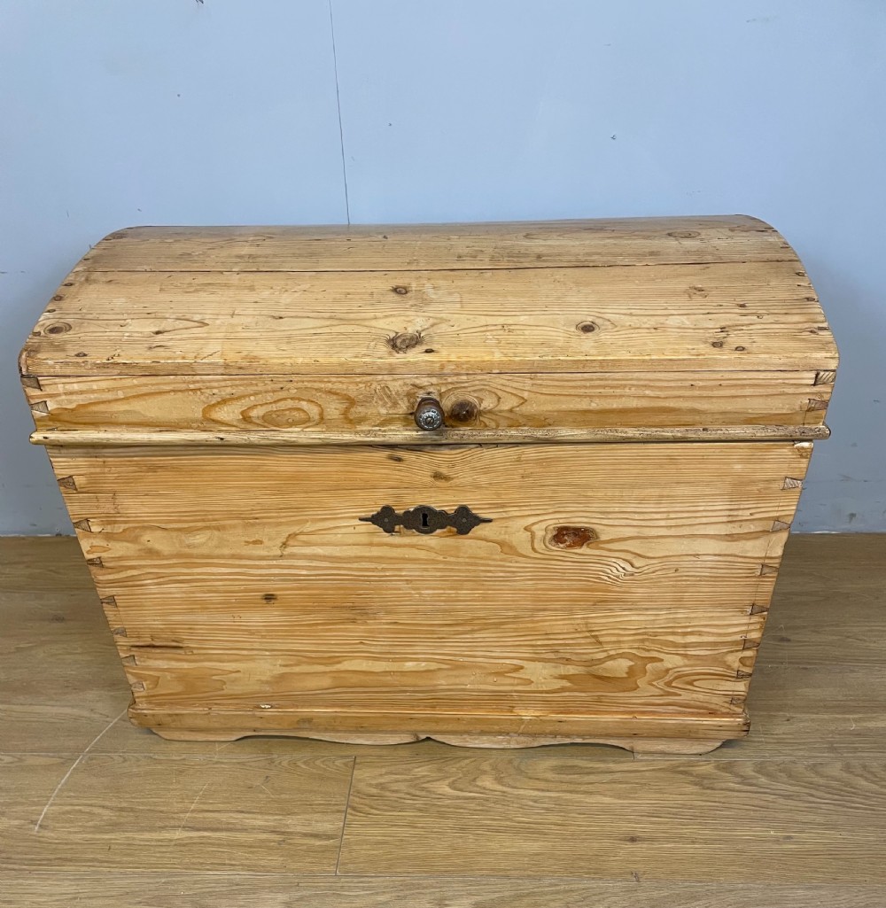 Nineteenth century dome topped pine trunk  View II