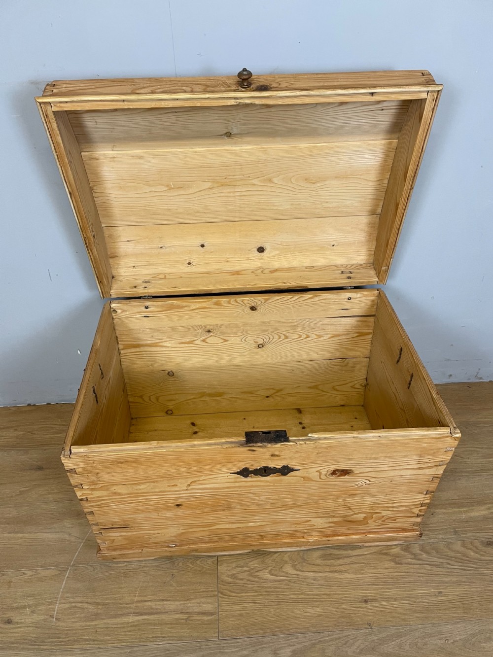 Nineteenth century dome topped pine trunk  View V