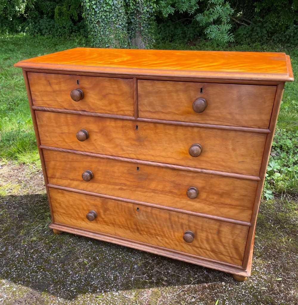 C19TH satin birch chest of drawers 