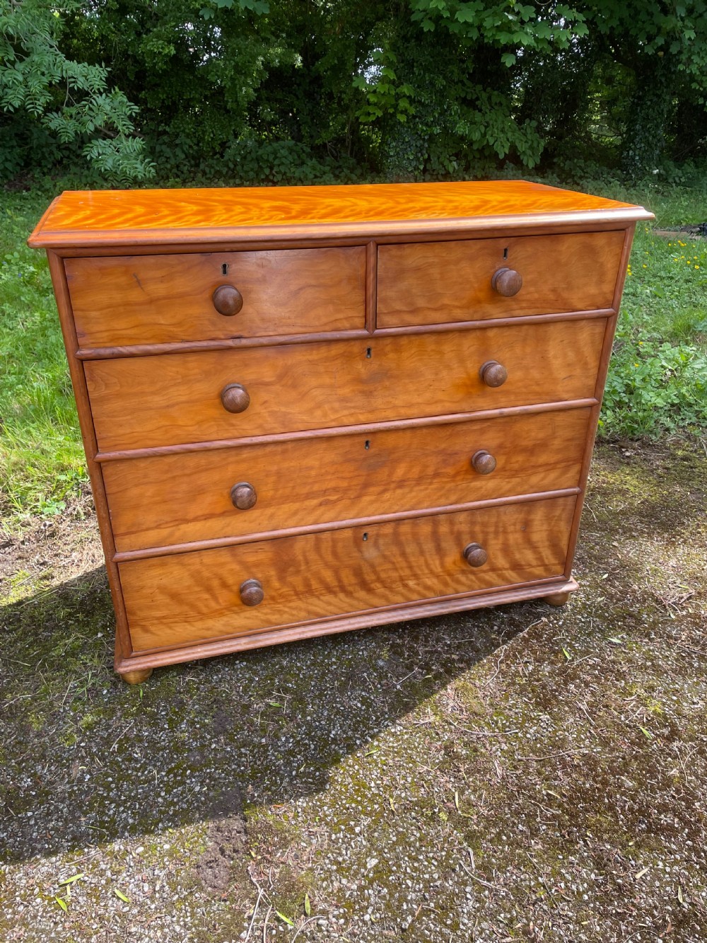 C19TH satin birch chest of drawers  View III