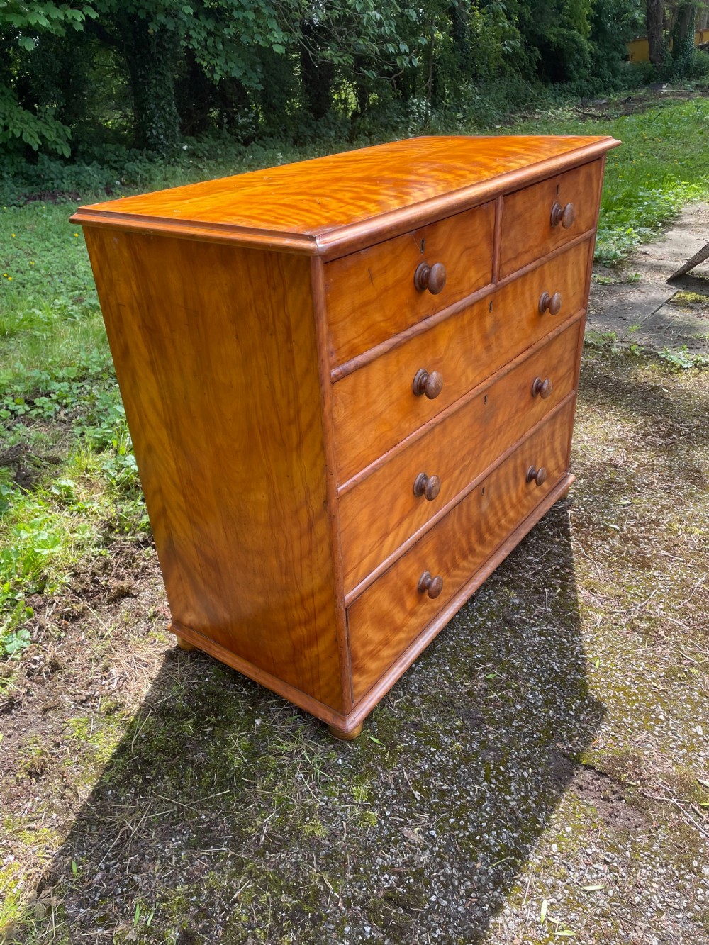 C19TH satin birch chest of drawers  View IV