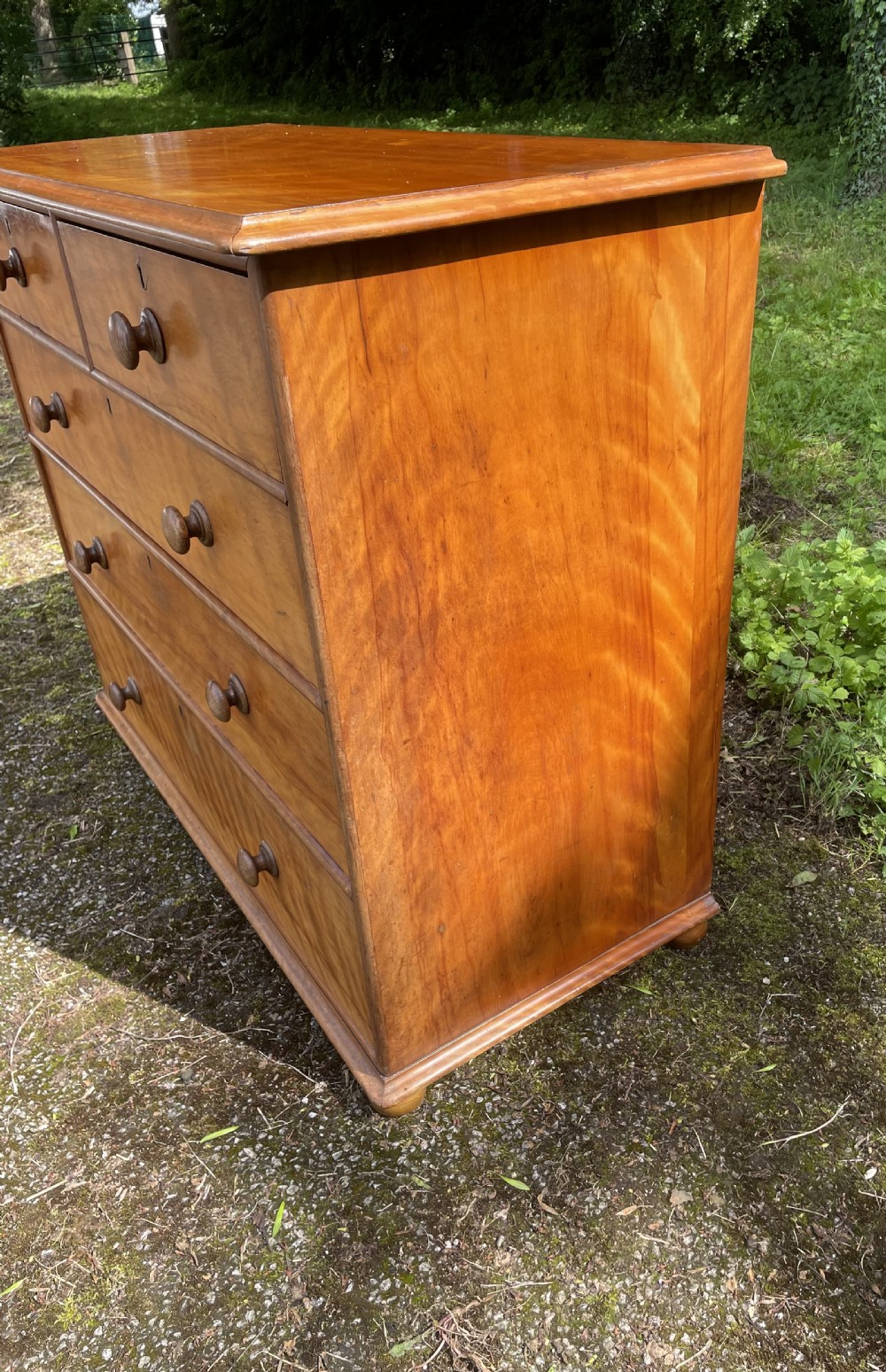 C19TH satin birch chest of drawers  View VII