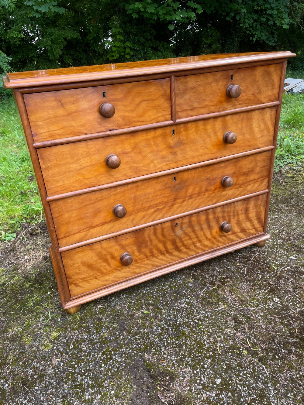 C19TH satin birch chest of drawers  View IX