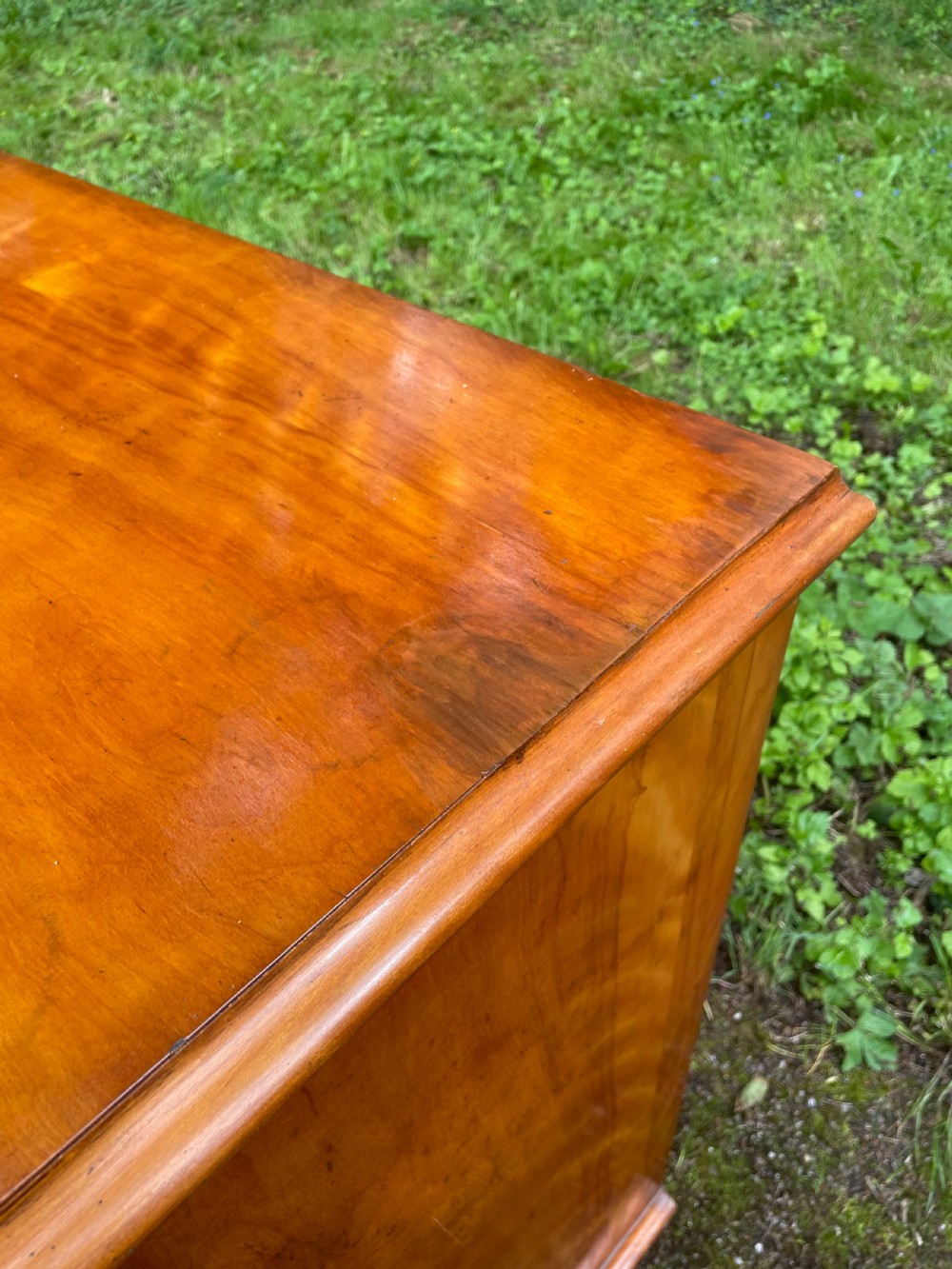 C19TH satin birch chest of drawers  View XI