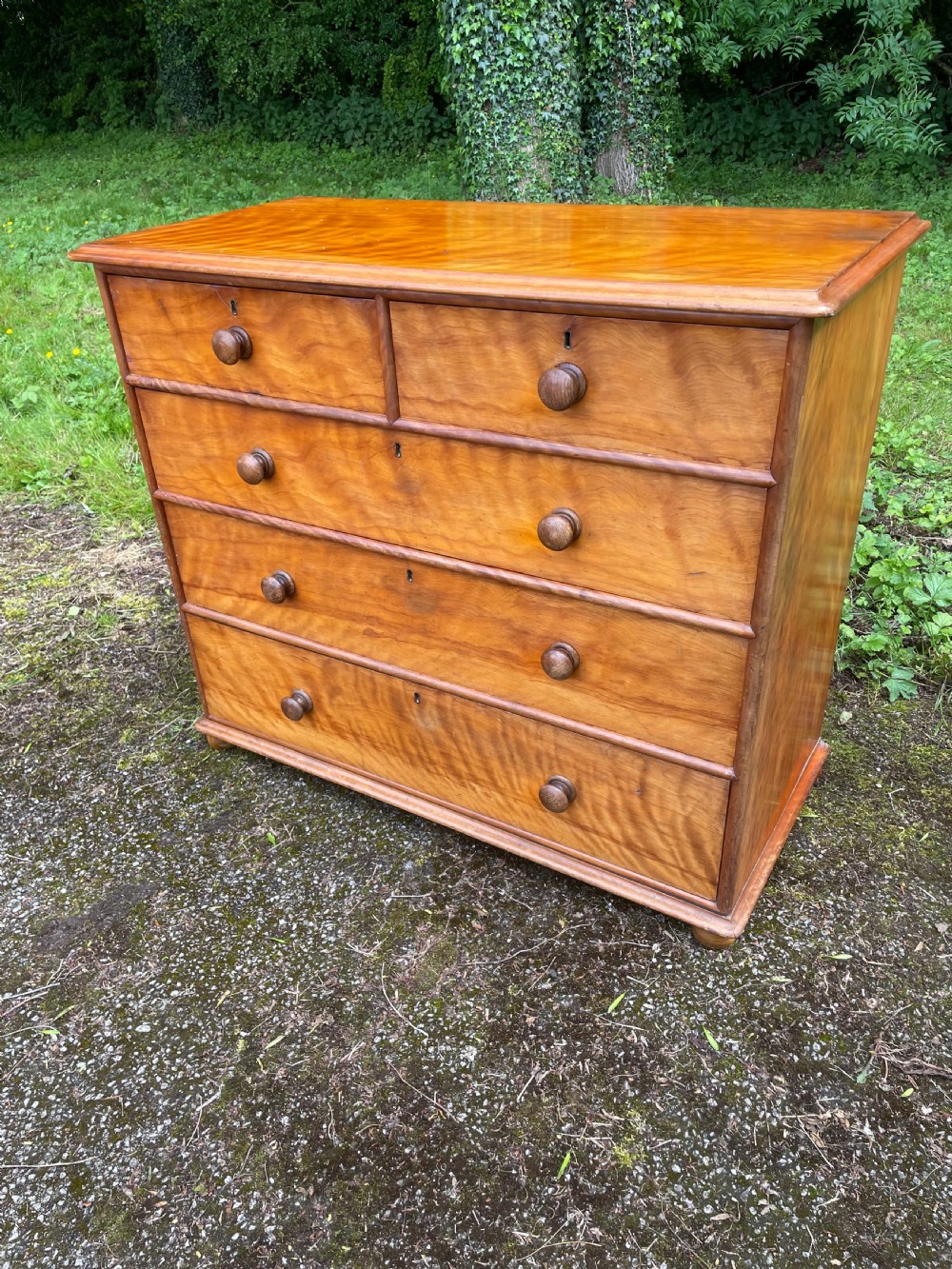 C19TH satin birch chest of drawers  View XII
