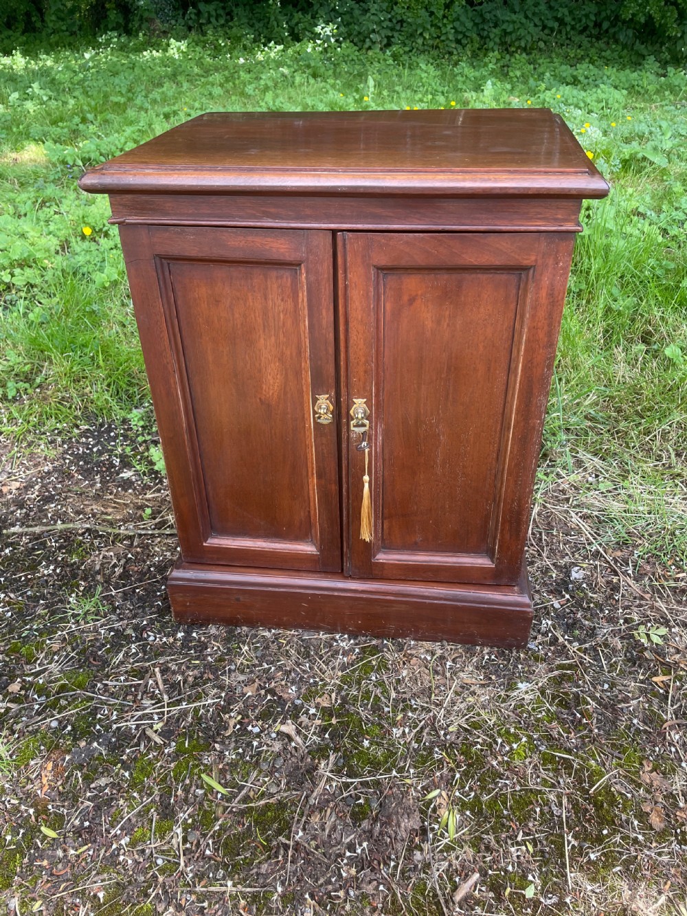 Edwardian solid mahogany collectors cabinet 