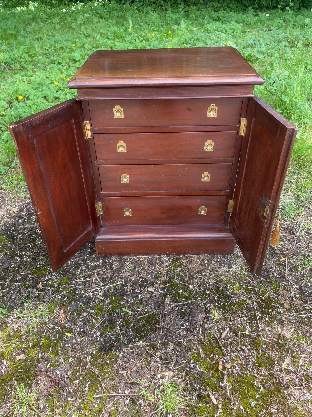 Edwardian solid mahogany collectors cabinet  View II