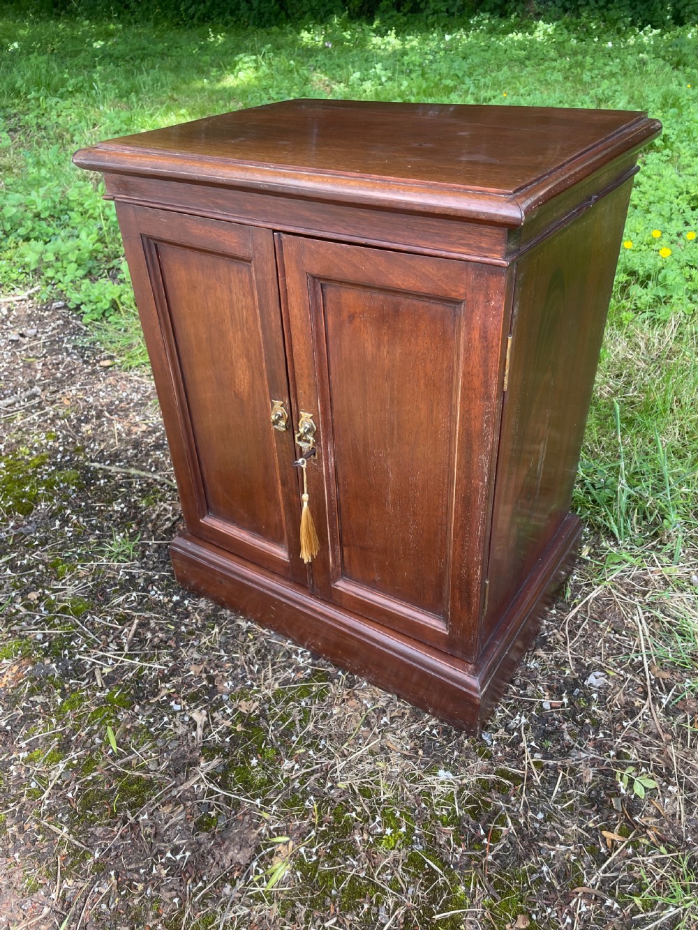 Edwardian solid mahogany collectors cabinet  View III