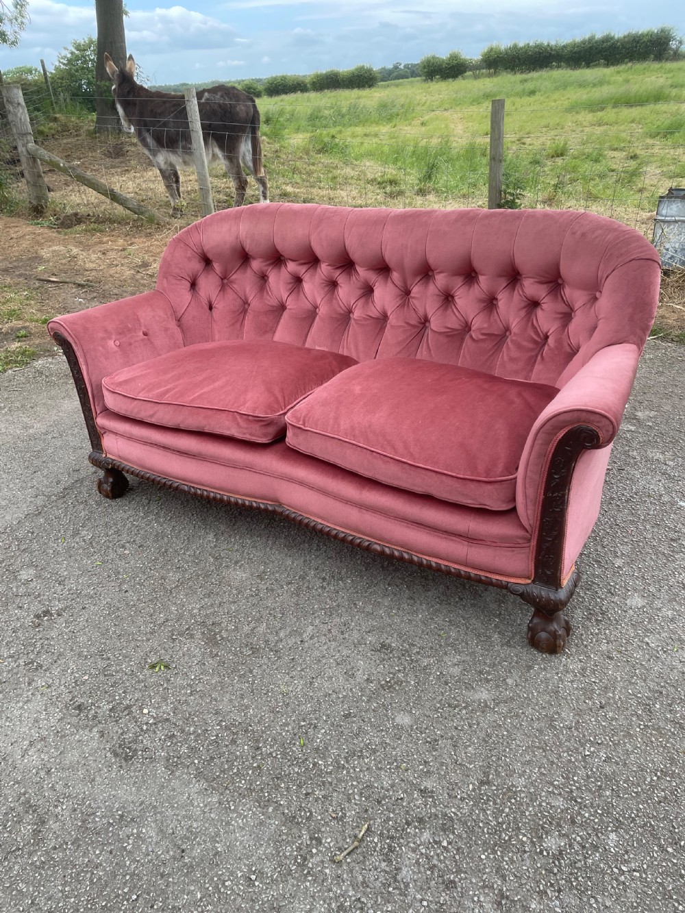 Victorian serpentine front sofa on carved show wood frame 