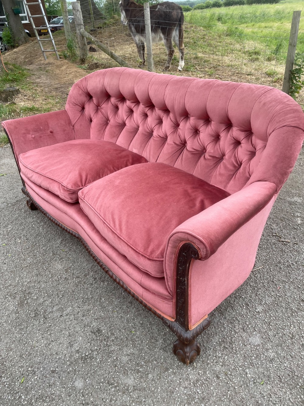 Victorian serpentine front sofa on carved show wood frame  View IV