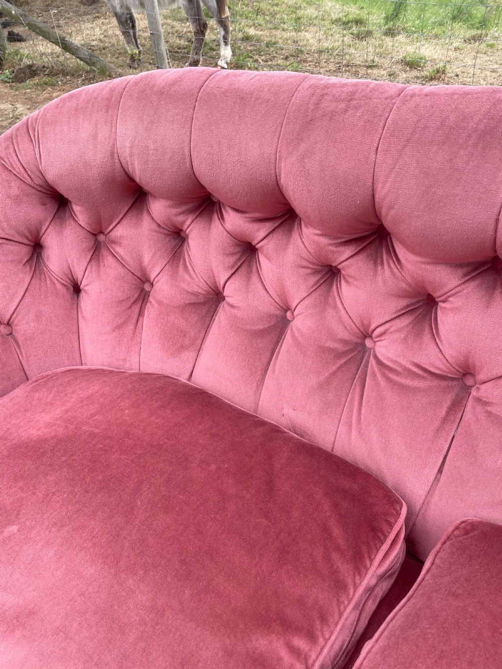 Victorian serpentine front sofa on carved show wood frame  View V