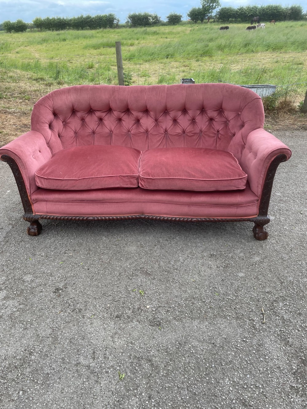 Victorian serpentine front sofa on carved show wood frame  View IX