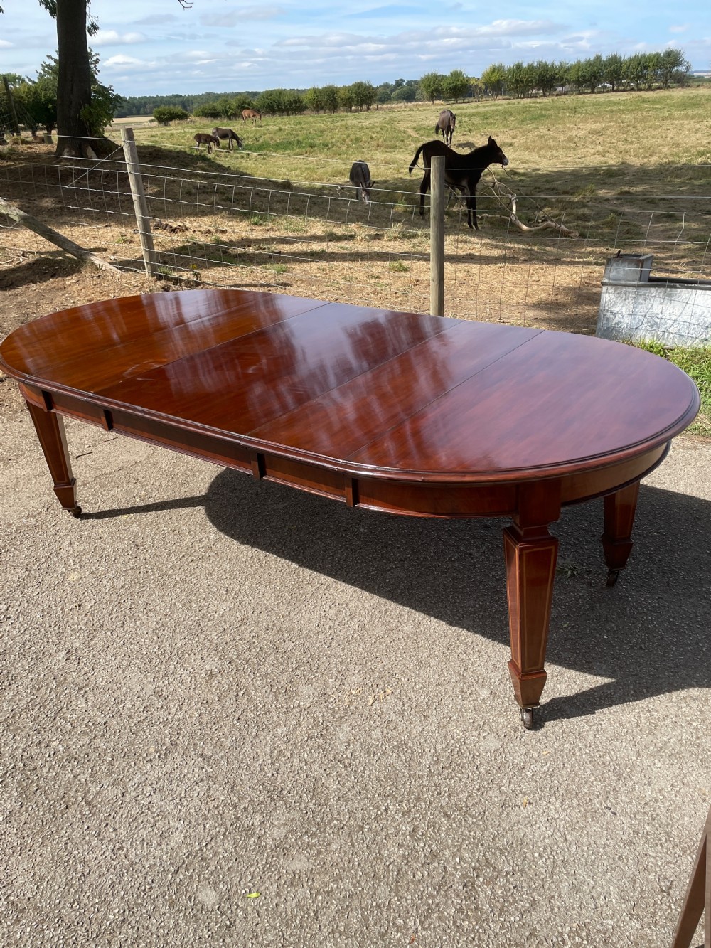 C19TH mahogany 8 seater wind out dining table by Robson Newcastle 