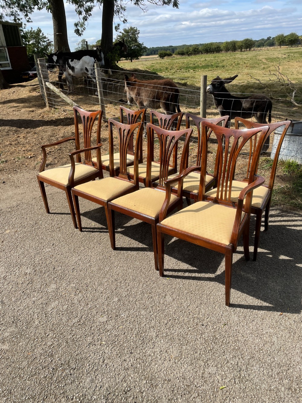 Late Victorian set of 8 mahogany dining chairs  View III