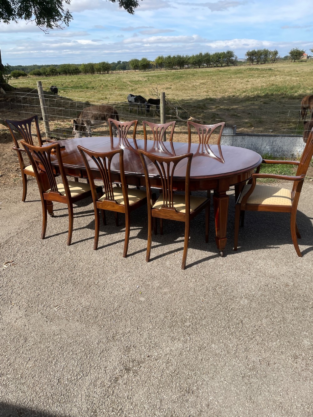 Late Victorian set of 8 mahogany dining chairs  View X