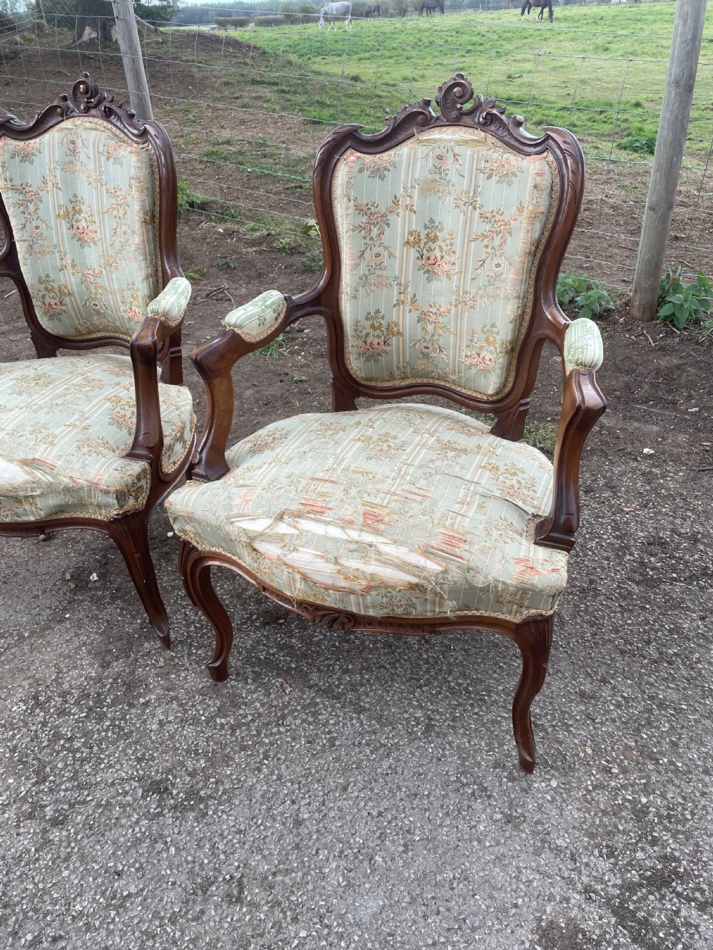 Pair of French Louis XV style Fauteuils chairs in worn country house condition  View II