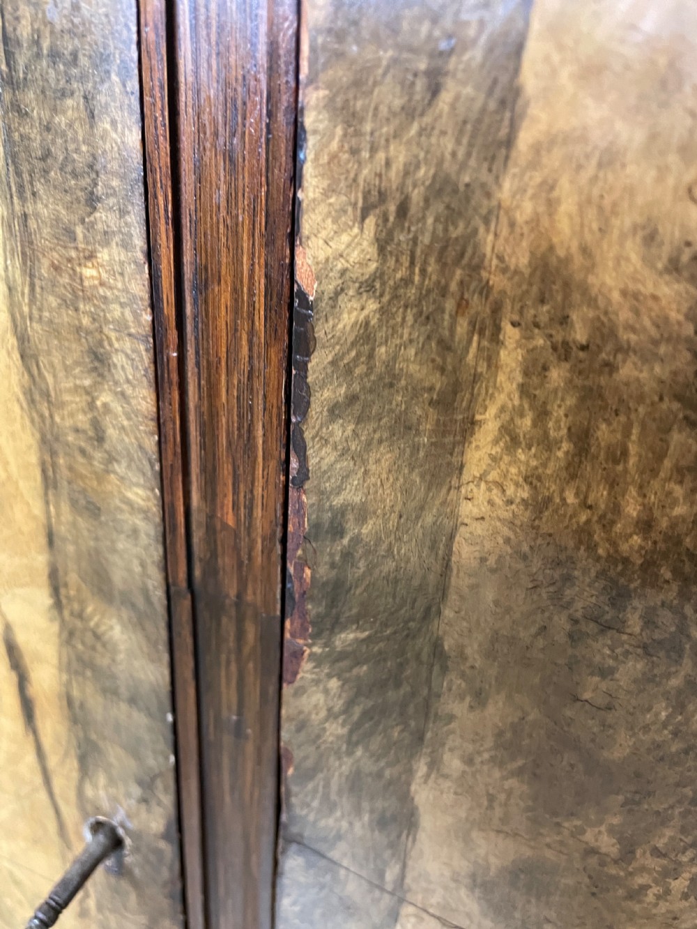 Burr walnut three door side cabinet circa 1920 View IX