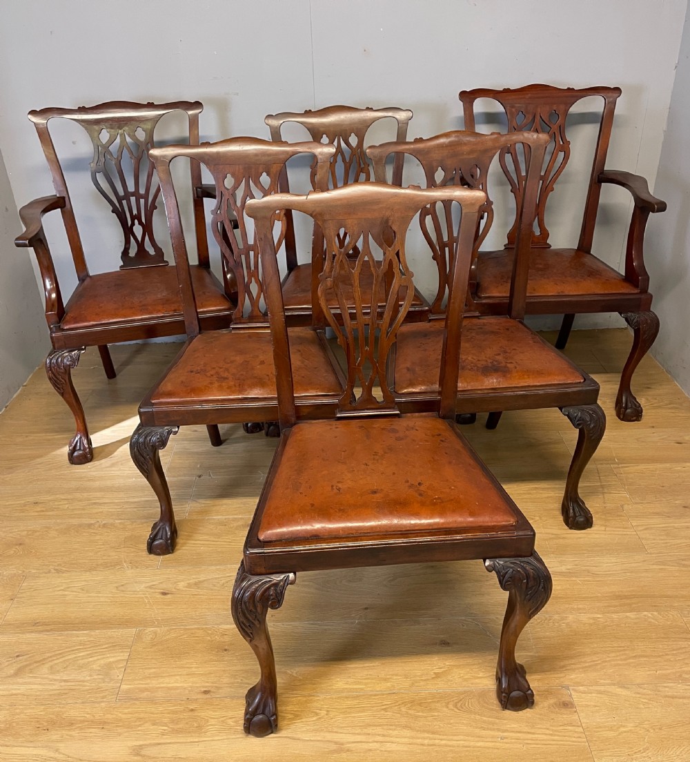  Edwardian set of six mahogany Chippendale style dining chairs on ball and claw feet