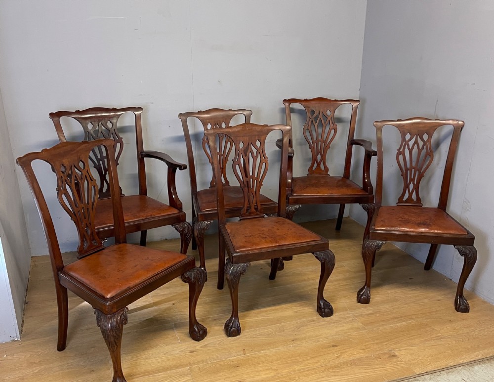  Edwardian set of six mahogany Chippendale style dining chairs on ball and claw feet View II