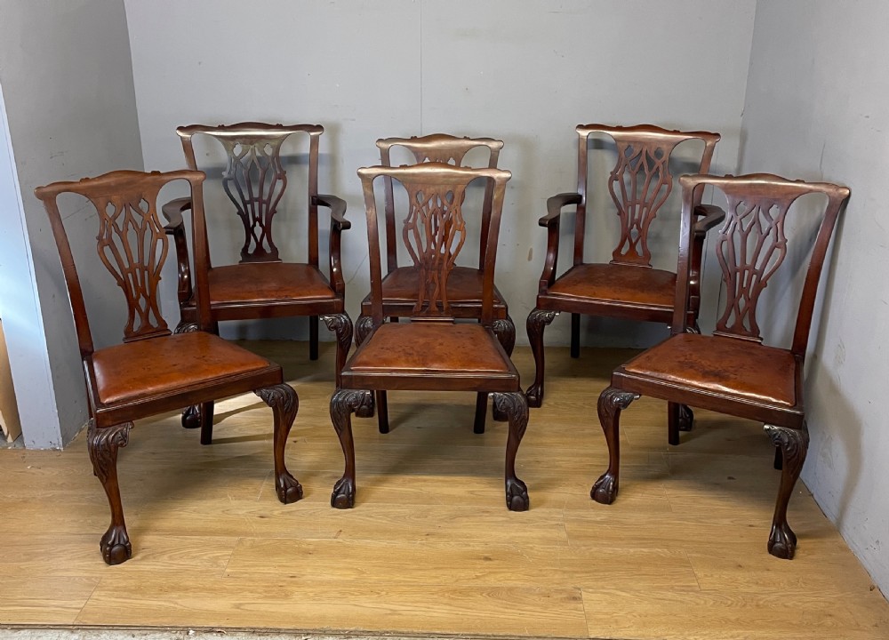  Edwardian set of six mahogany Chippendale style dining chairs on ball and claw feet View IV