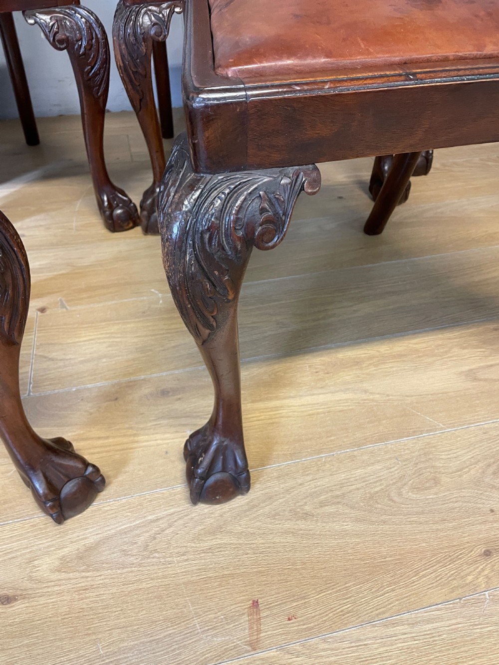  Edwardian set of six mahogany Chippendale style dining chairs on ball and claw feet View VIII