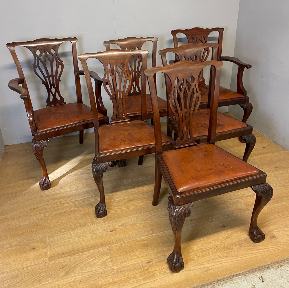  Edwardian set of six mahogany Chippendale style dining chairs on ball and claw feet View XIX