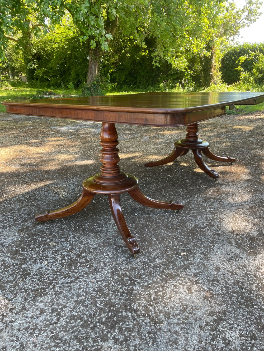 William IV mahogany twin pedestal eight seater dining table  View III
