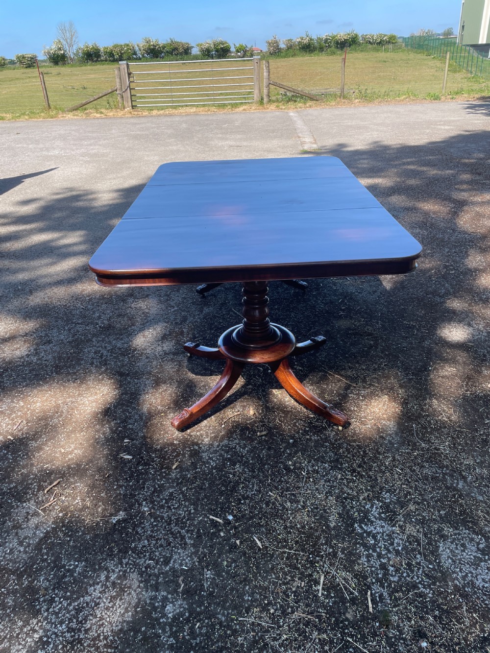William IV mahogany twin pedestal eight seater dining table  View VI