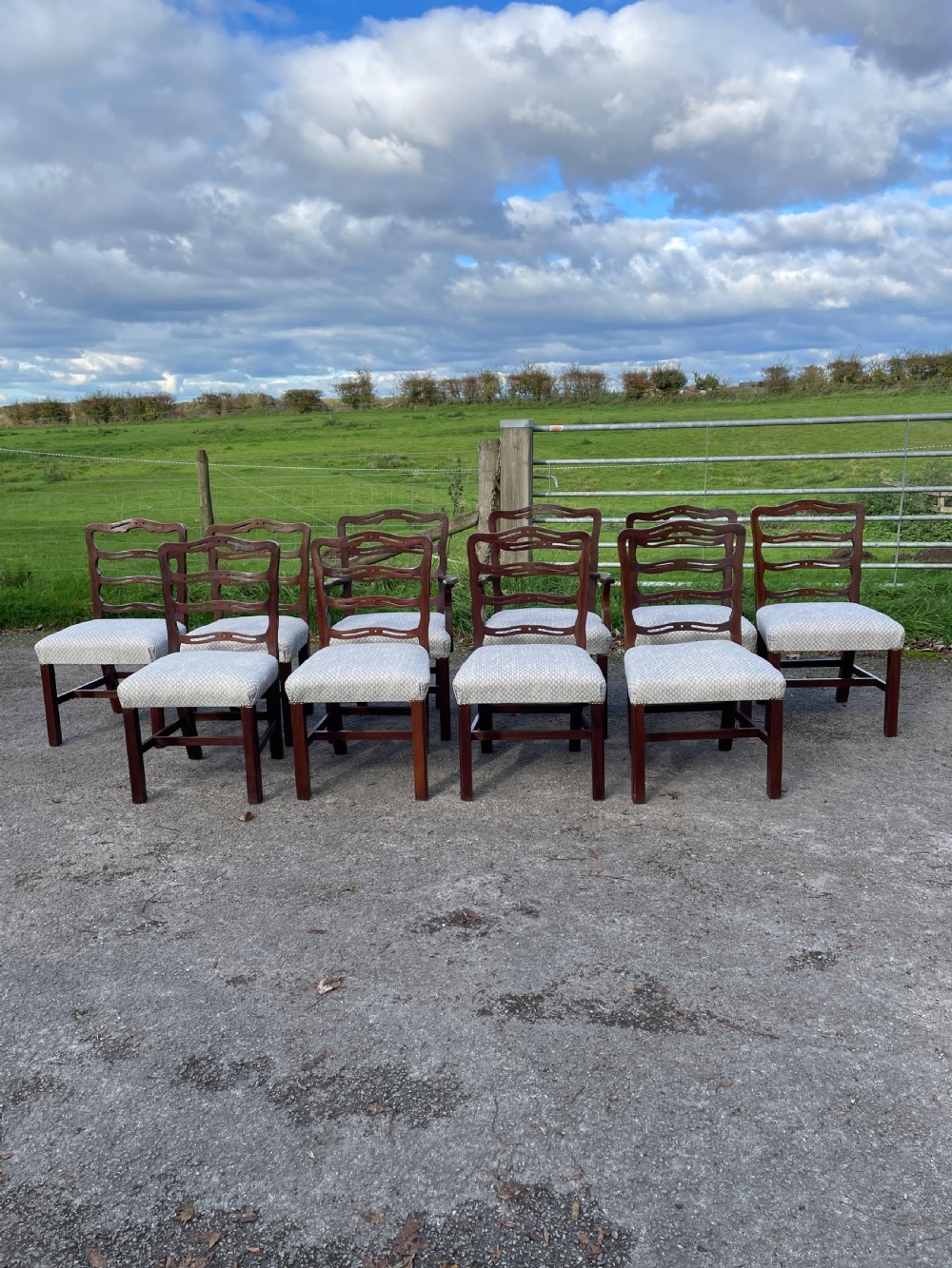 Great quality set of 10 Hepplewhite style mahogany dining chairs circa 1920 View XVI