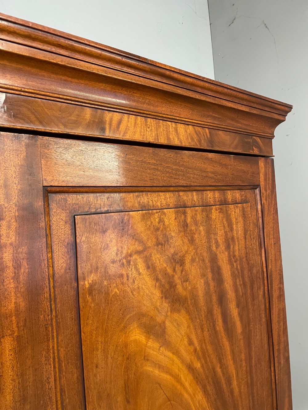 A nineteenth-century two-door flame mahogany wardrobe with panelled doors, brass escutcheons, and a moulded cornice. View V