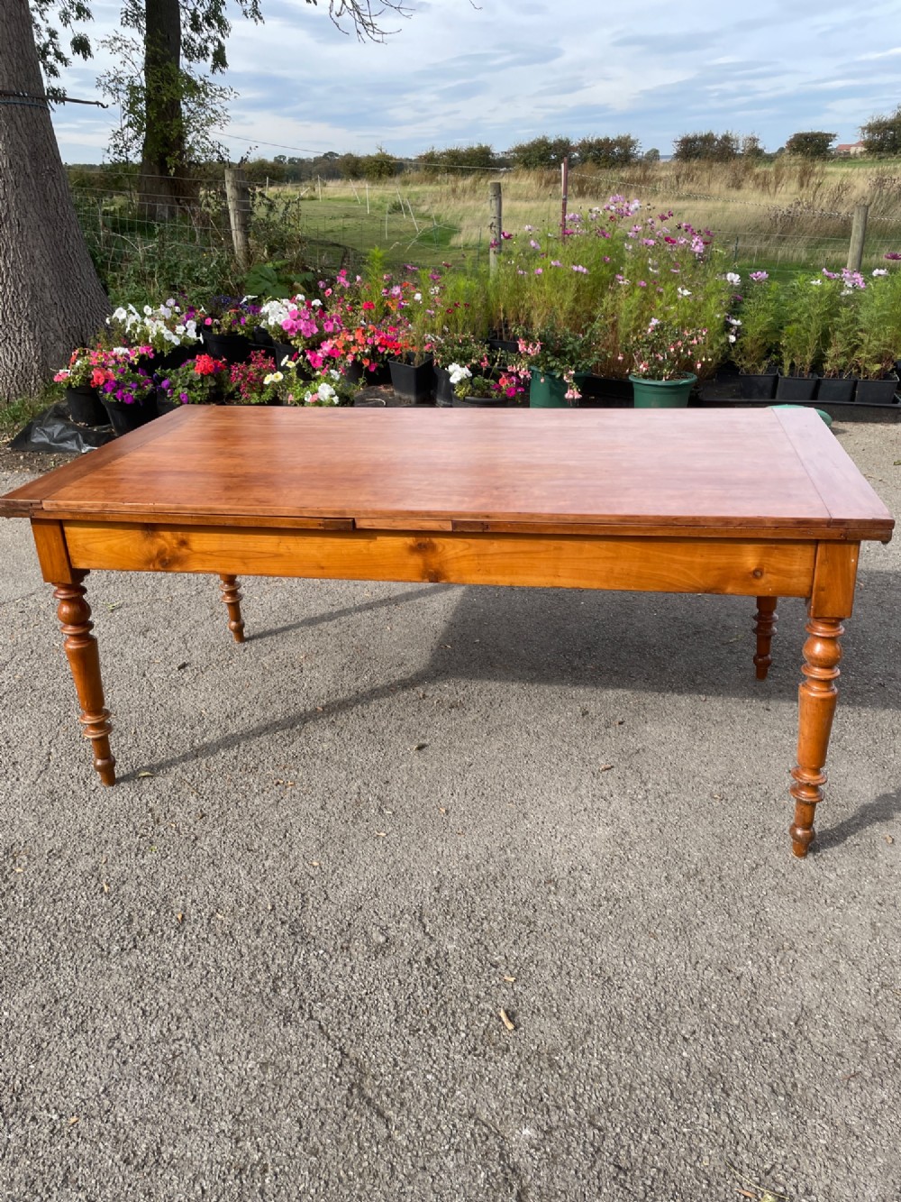 A 19th-century French cherrywood extending dining table featuring turned legs and a polished rectangular top.