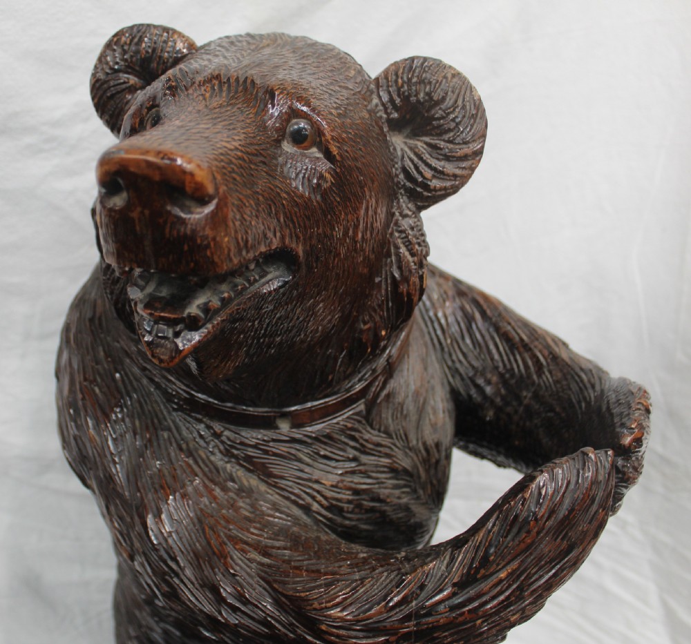 Black forest bear View III