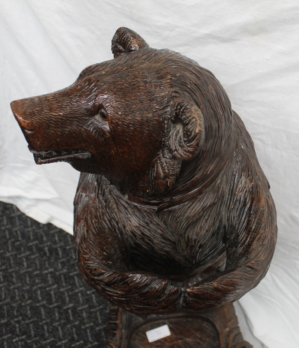 Black forest bear View V