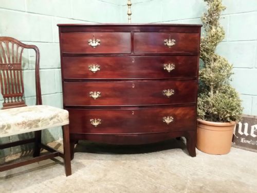 Antique Regency Mahogany Bow Front Chest of Drawers C1820