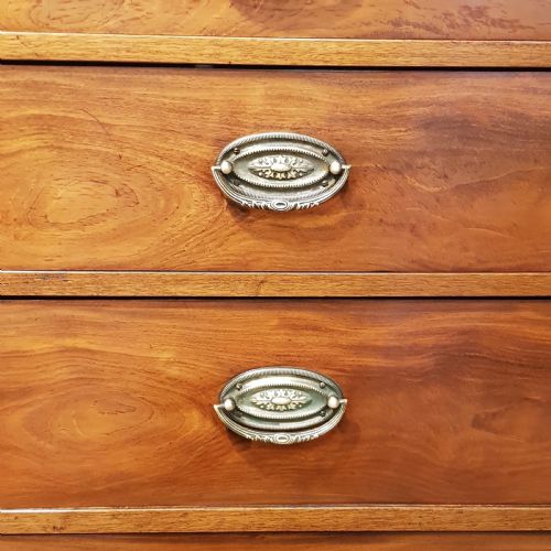 fig 2. ANTIQUE REGENCY MAHOGANY TALL NARROW CHEST OF DRAWERS C1820