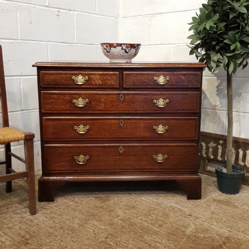 Antique Georgian Period Oak Dwarf Chest of Drawers C1780
