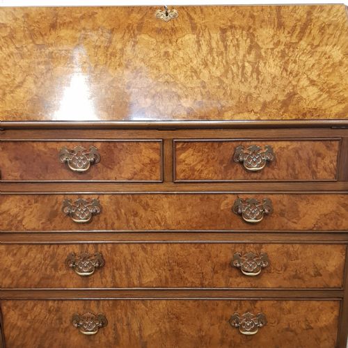 fig 2. ANTIQUE BURR WALNUT BUREAU C1920