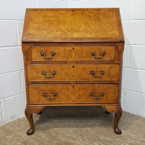 fig 1. ANTIQUE BURR WALNUT BUREAU C1920