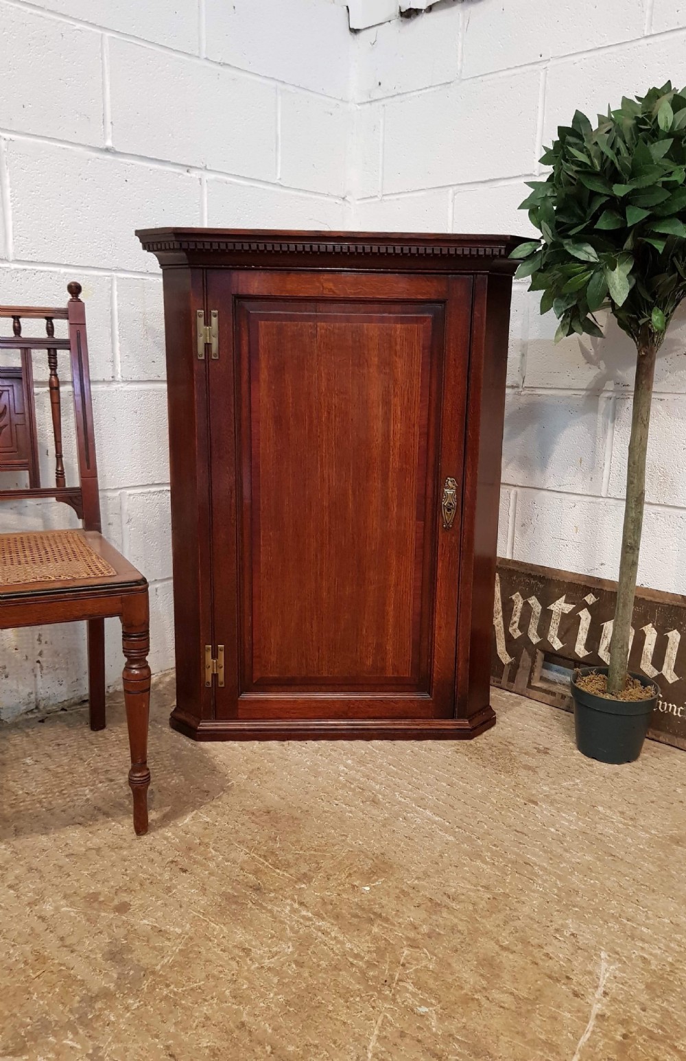 ANTIQUE GEORGIAN PERIOD OAK CORNER CABINET C1780