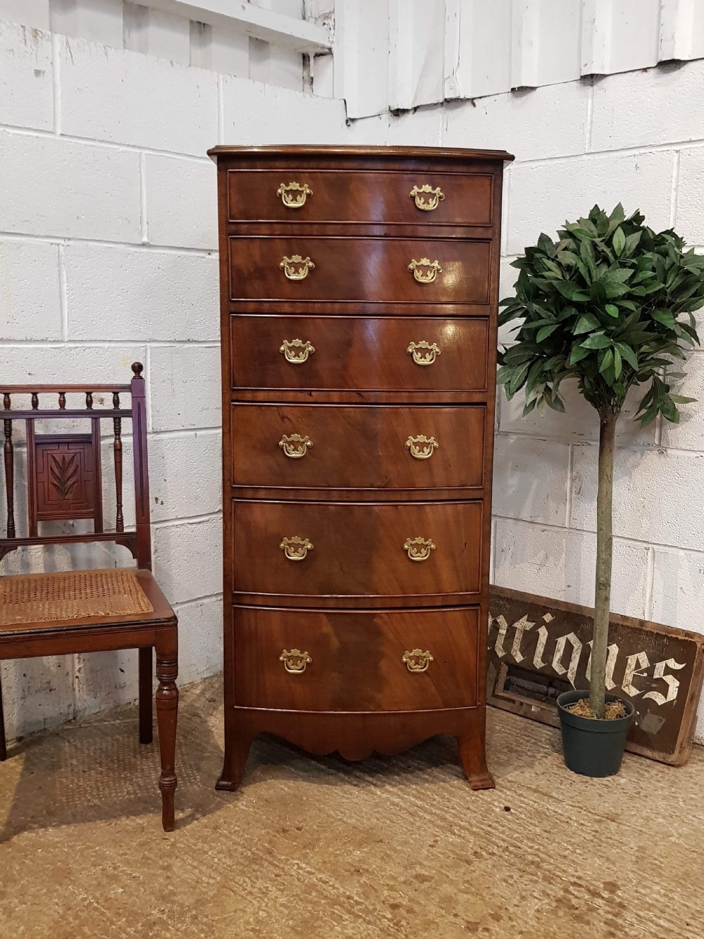 ANTIQUE FLAMED MAHOGANY TALL NARROW BOW FRONT CHEST OF DRAWERS C1900