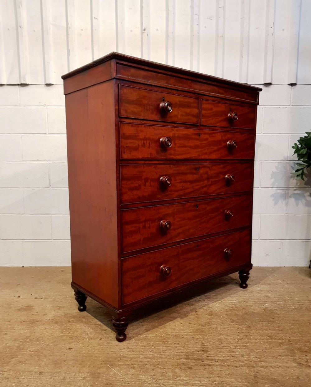ANTIQUE WILLIAM 1V MAHOGANY CHEST OF DRAWERS WITH SECRET DRAWER C1830 View V