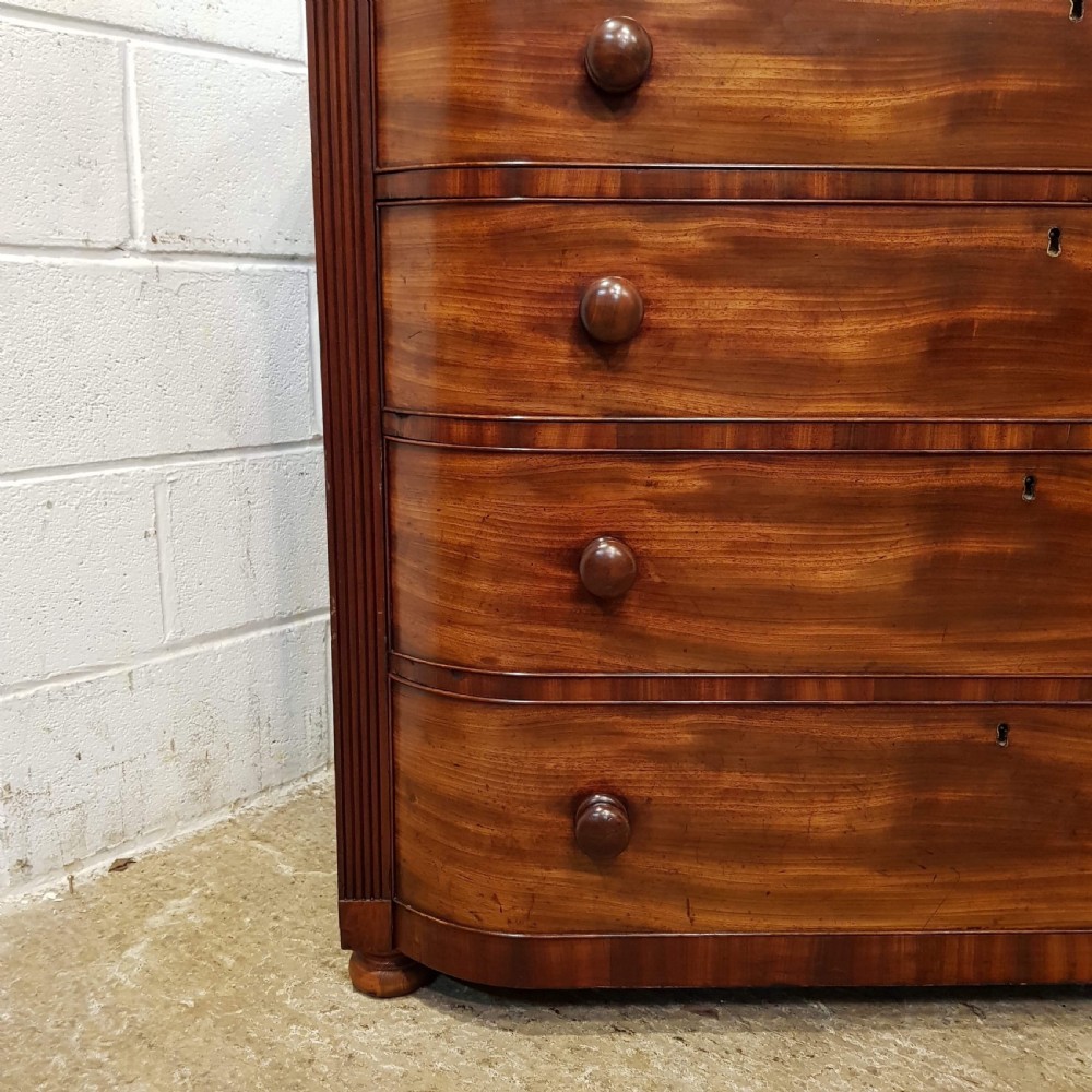 ANTIQUE WILLIAM 1V BOW FRONT MAHOGANY CHEST OF DRAWERS C1830 View IV