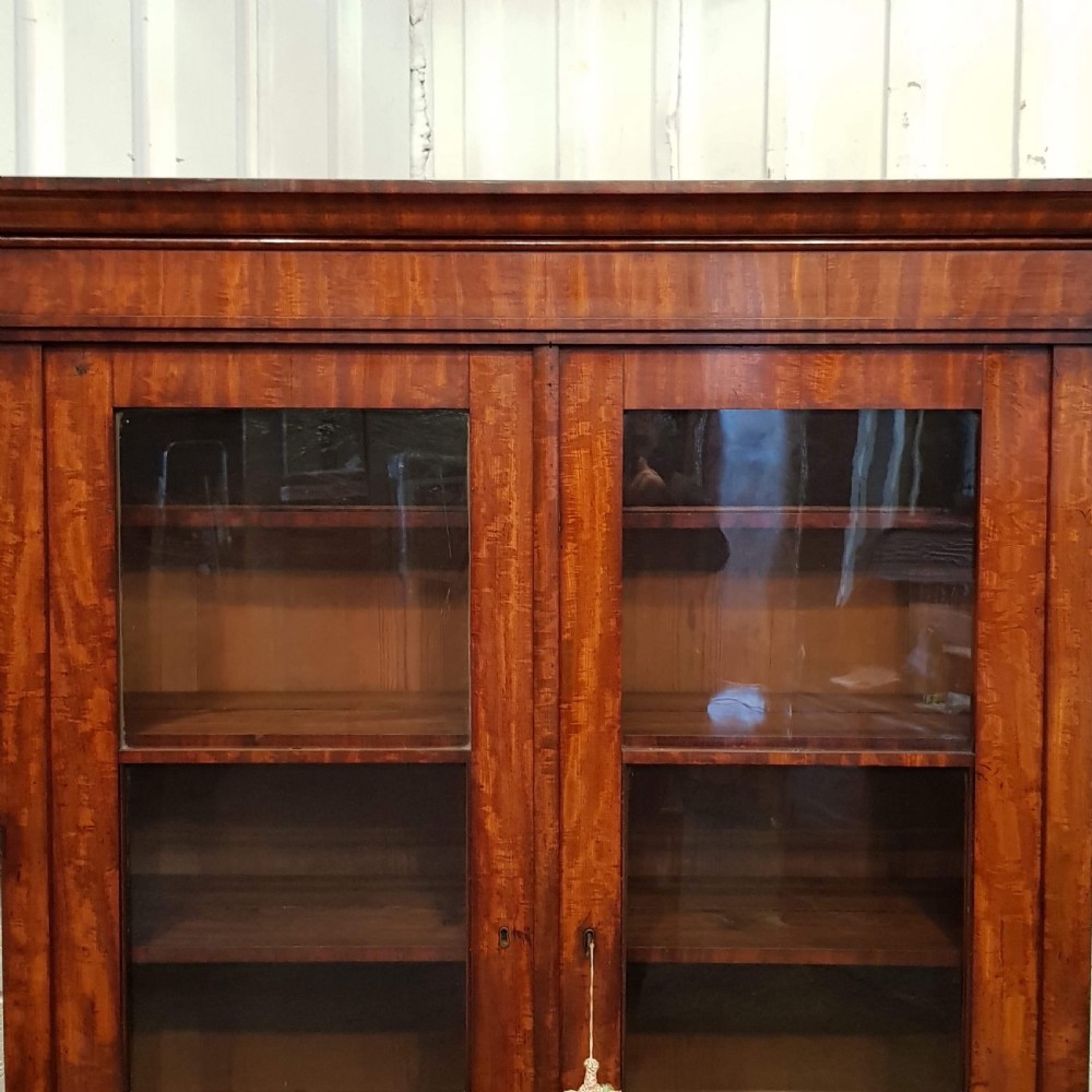 ANTIQUE 19TH Cent BIEDERMEIER MAHOGANY BOOKCASE C1870  View V