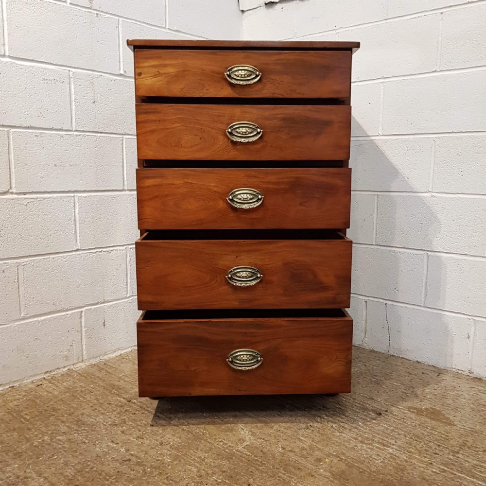 ANTIQUE REGENCY MAHOGANY TALL NARROW CHEST OF DRAWERS C1820 View VI