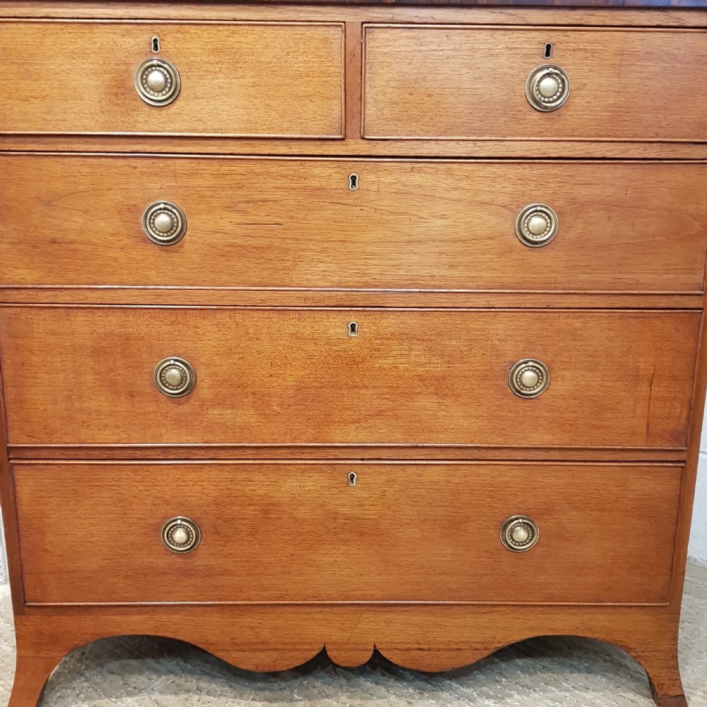 ANTIQUE REGENCY MAHOGANY CHEST OF DRAWERS C1820 View III