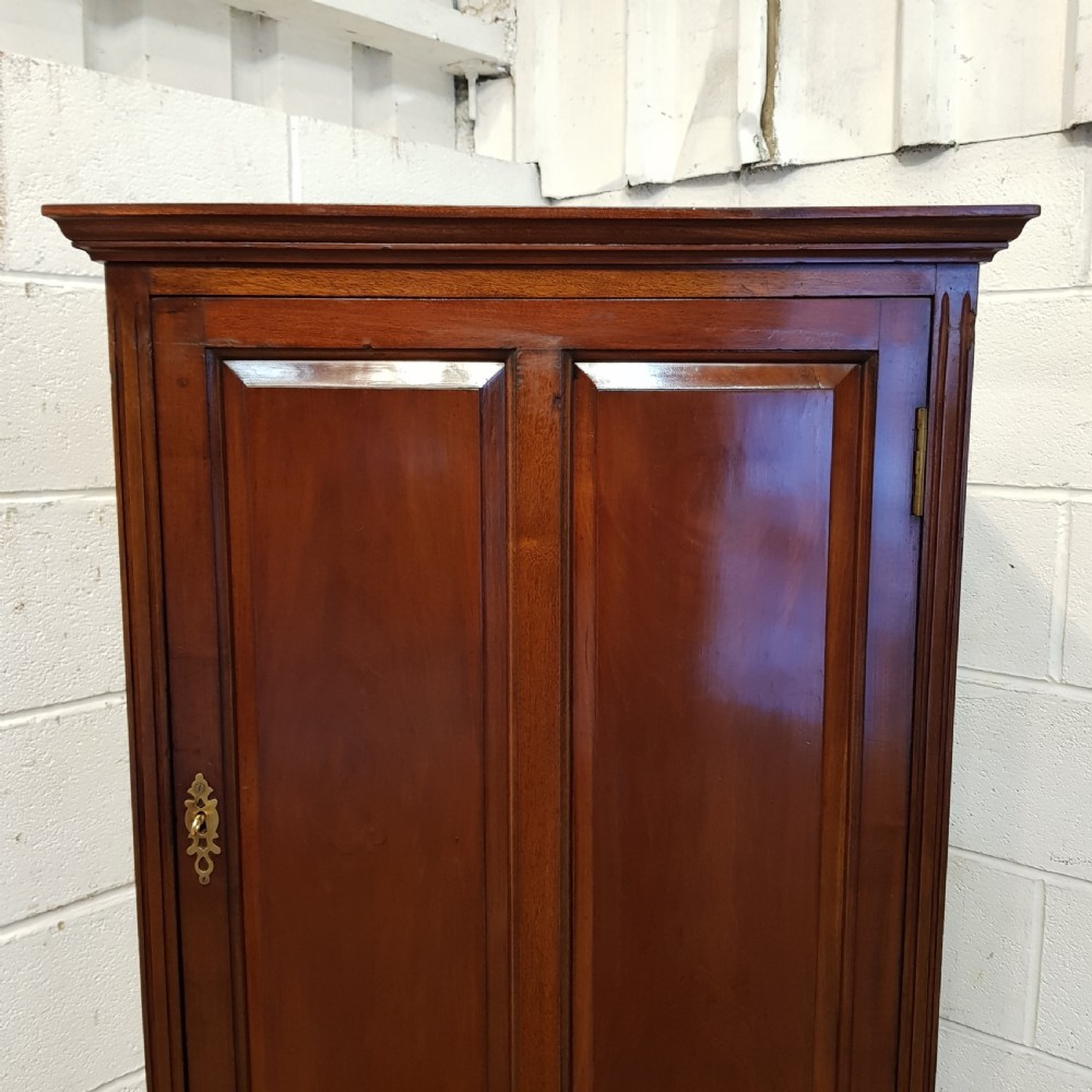 ANTIQUE LATE VICTORIAN MAHOGANY TALL CUPBOARD C1890 View IV