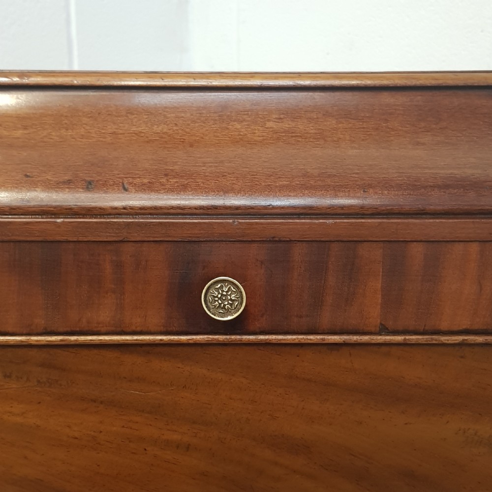 ANTIQUE REGENCY MAHOGANY SARCOPHAGUS C1820  View VIII